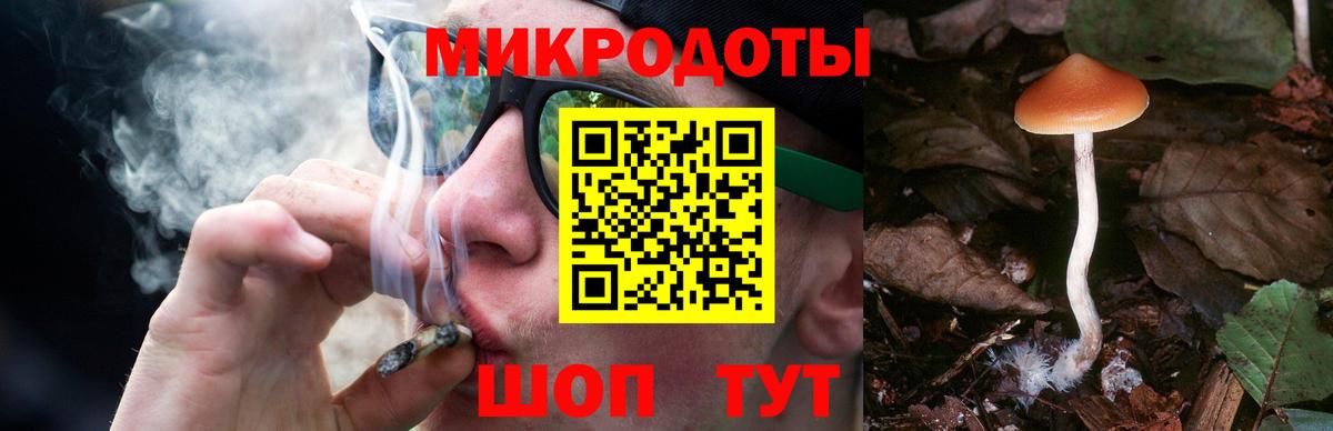 где продают   Галлюциногенные грибы Magic Shrooms  Вход с VPN  Сокол 