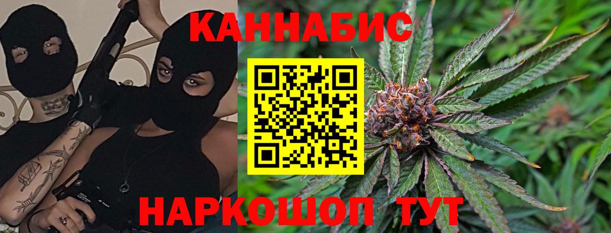 Шишки марихуана план  Шишки марихуана Amnesia  Бошки марихуана планчик  Канабис Bruce Banner  Вход с VPN  Сокол 